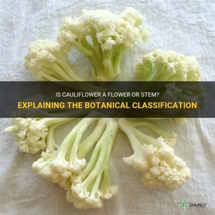 Is cauliflower actually a flower