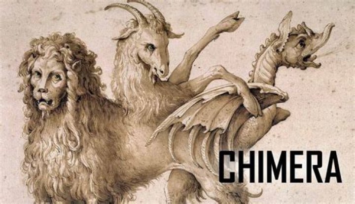 Is Cerberus a chimera