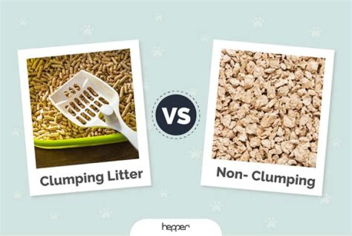 Is clumping cat litter toxic
