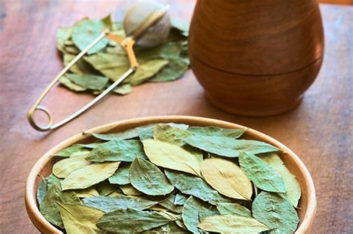 Is Coca tea legal in UK