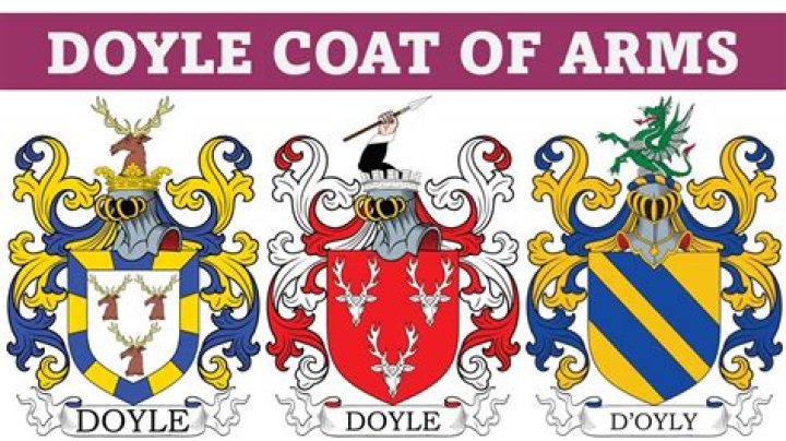 Is Doyle a Viking name
