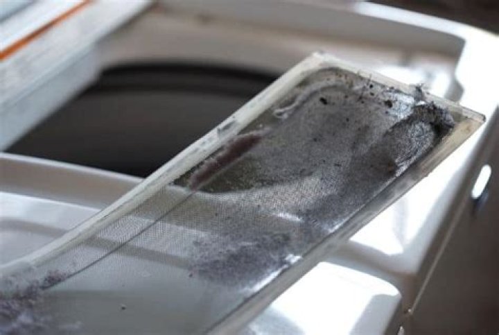 Is dryer lint biodegradable