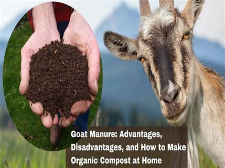Is goat manure high in nitrogen