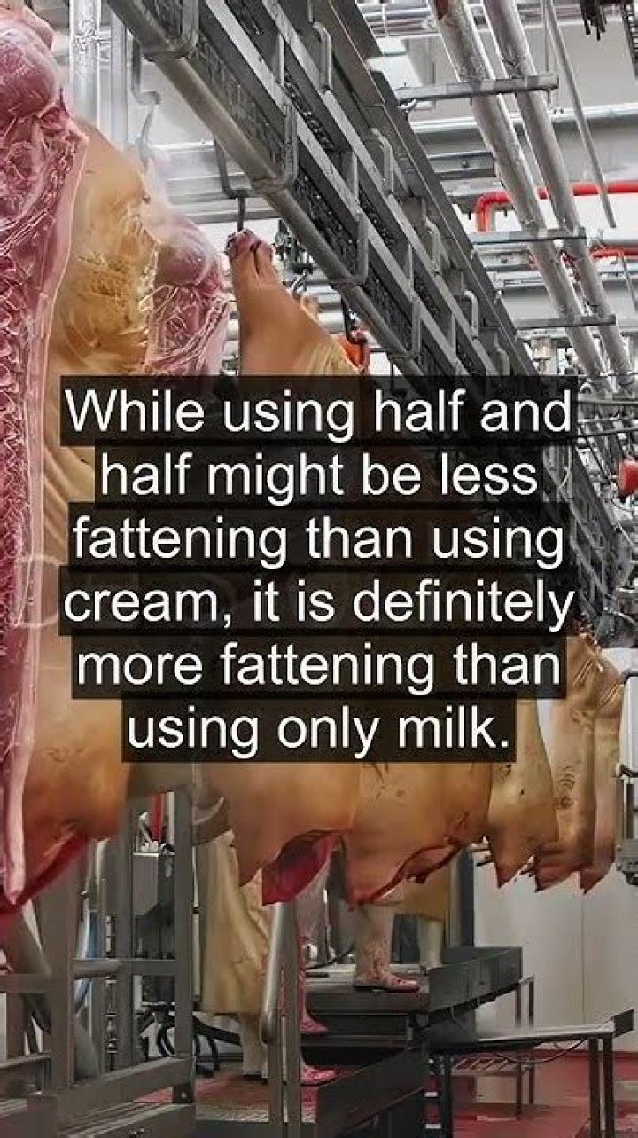 Is half and half good for weight loss