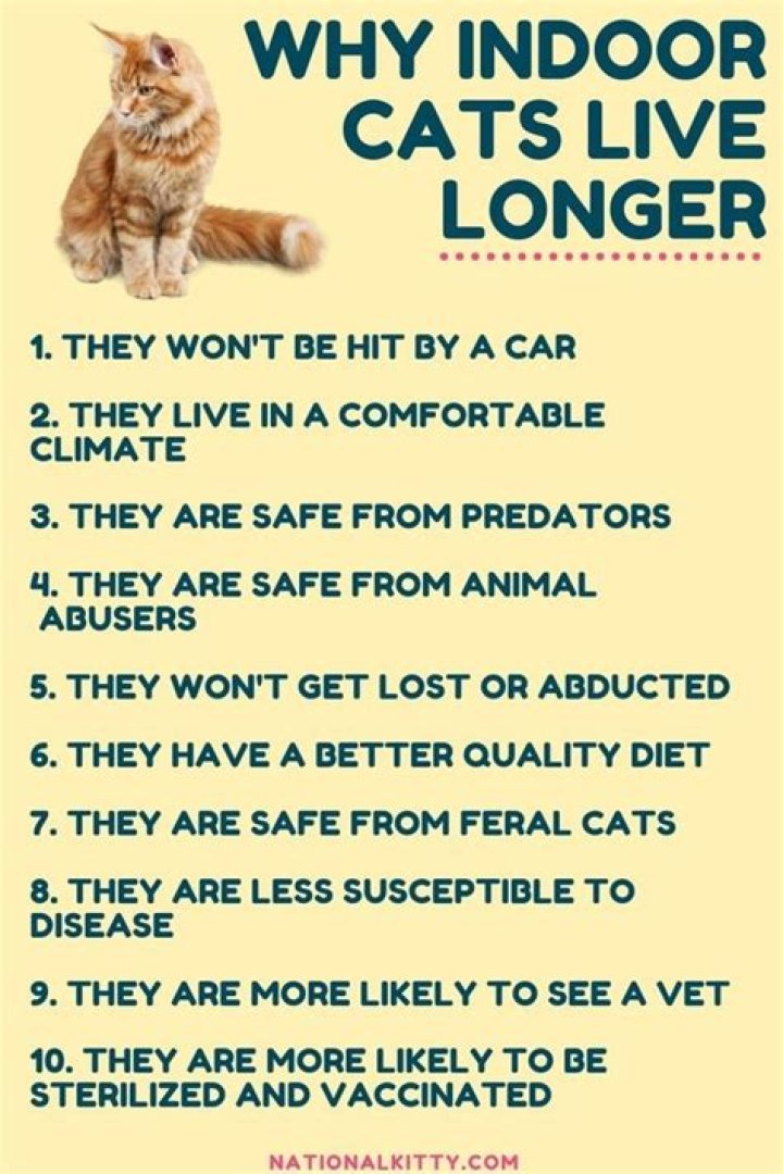Is it OK to keep cats indoors all the time