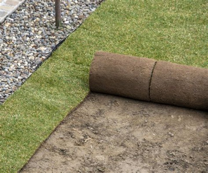Is it OK to lay turf in November
