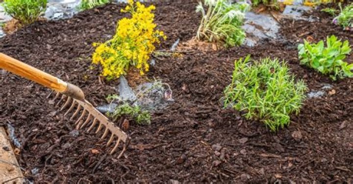 Is it OK to put mulch over leaves