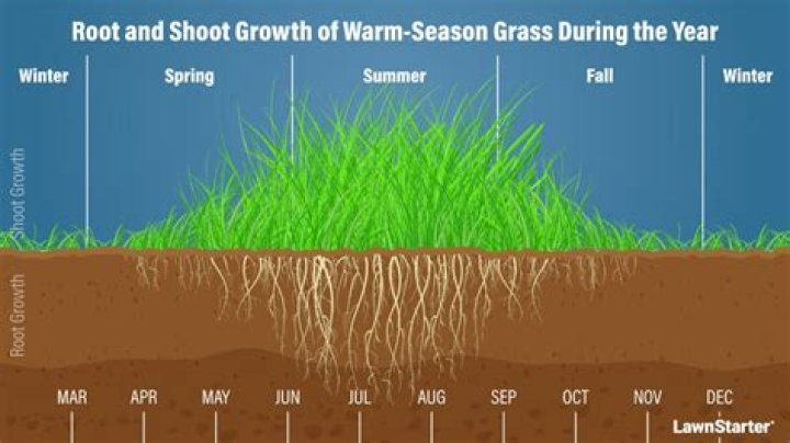Is it okay to water grass during the day