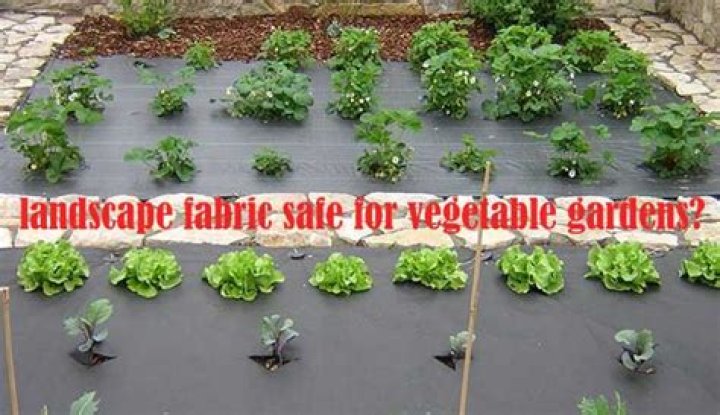 Is landscape fabric safe for vegetable gardens