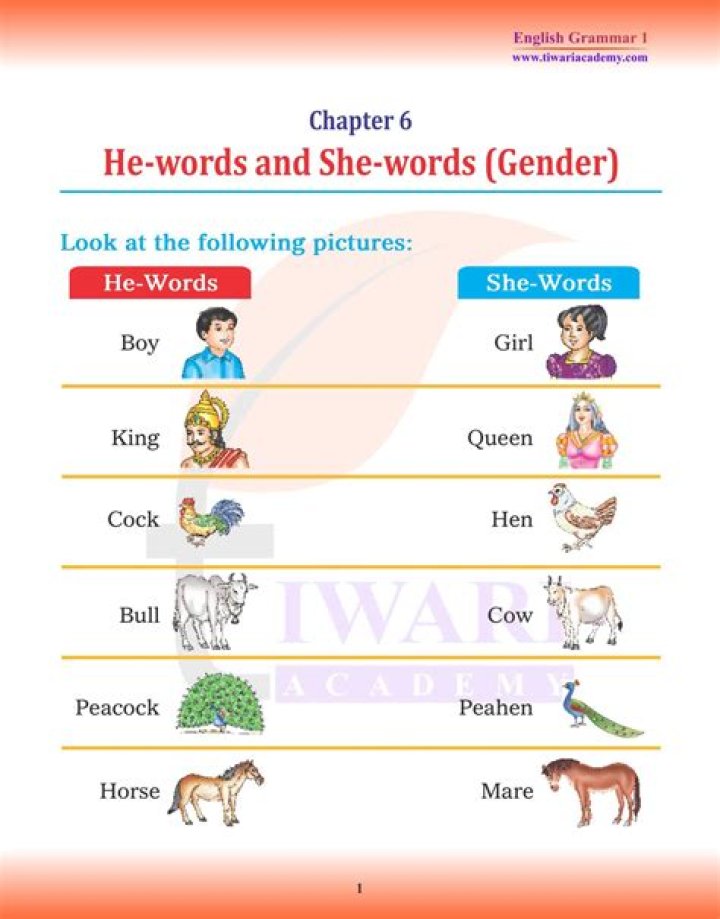 Is Maíz masculine or feminine