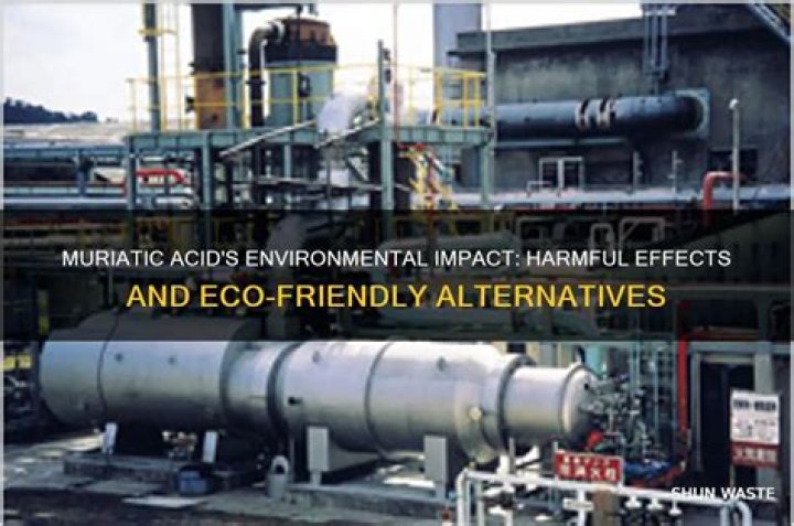 Is muriatic acid harmful to the environment
