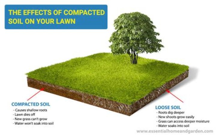 Is my lawn compacted