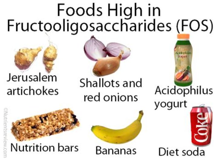 Is Oligofructose natural