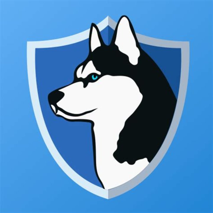Is Phone Guardian a safe app