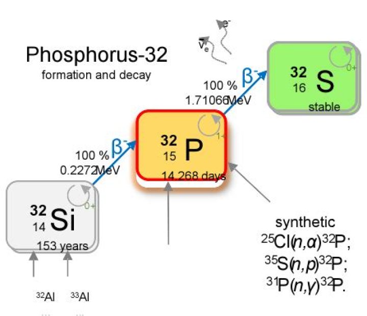 Is Phosphorus 32 a non radioactive isotope