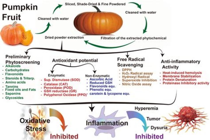 Is pumpkin good for the digestive system