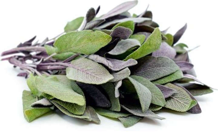 Is Purple Sage edible