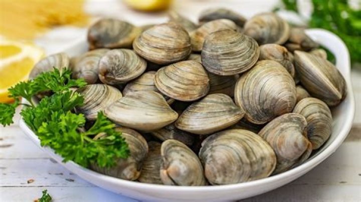 Is raw clams good for you