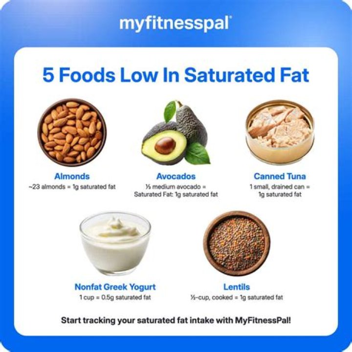 Is saturated fat necessary in diet