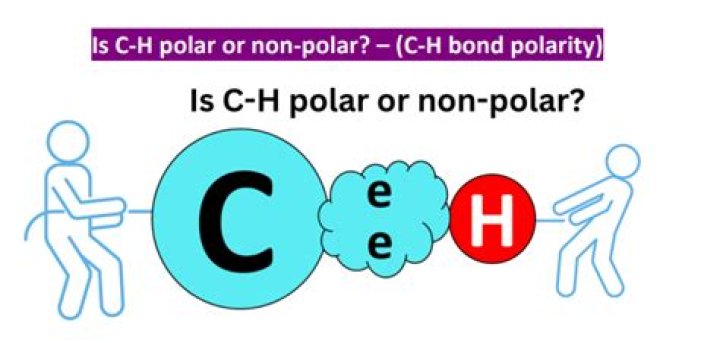 Is Si H or CH more polar
