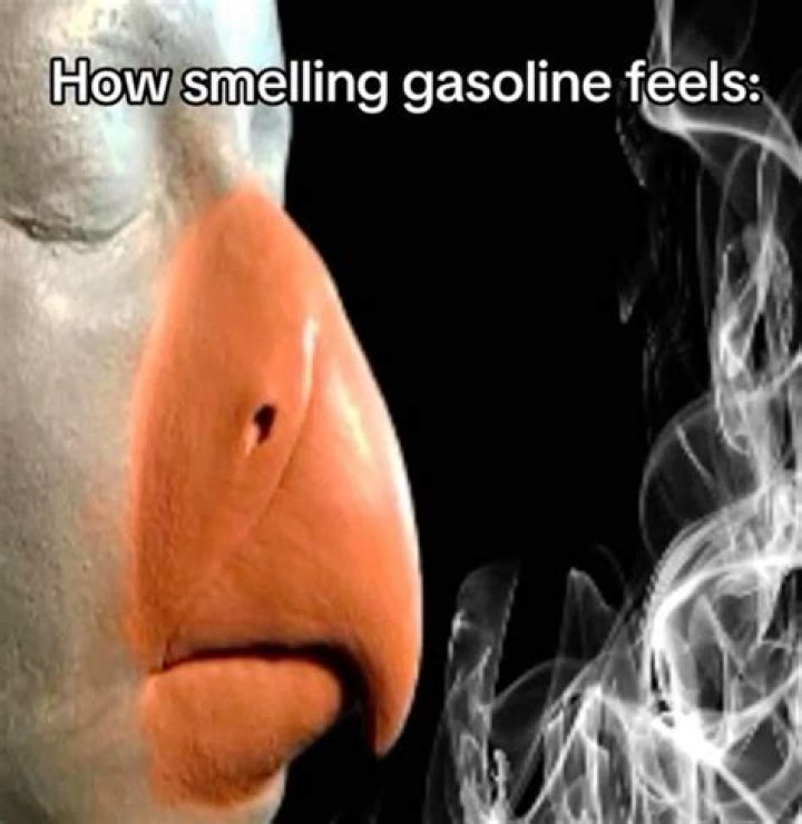 Is smelling gasoline a sign of a seizure