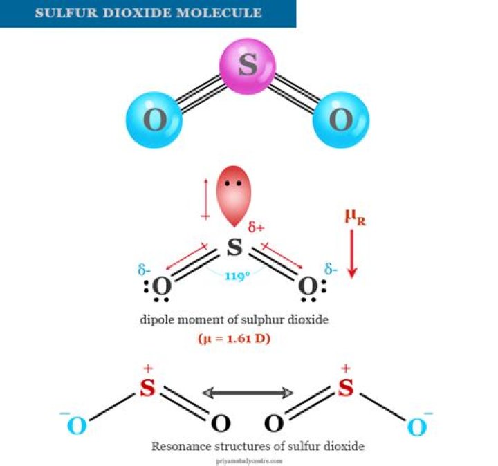 Is Sulphur dioxide soluble in water