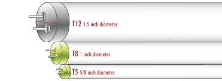 Is t5 better than t8