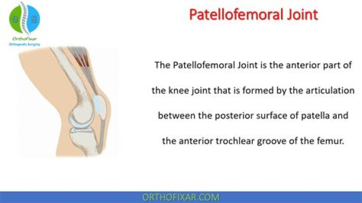 Is the patellofemoral joint a synovial joint