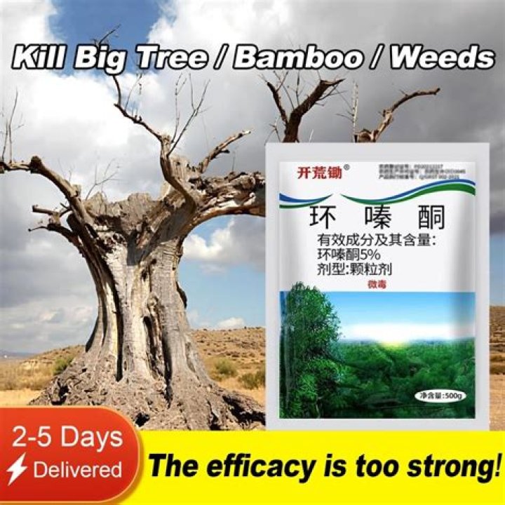 Is there a herbicide that kills bamboo