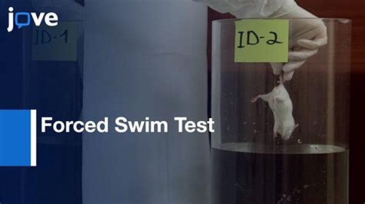 Is there a swim test for the Navy