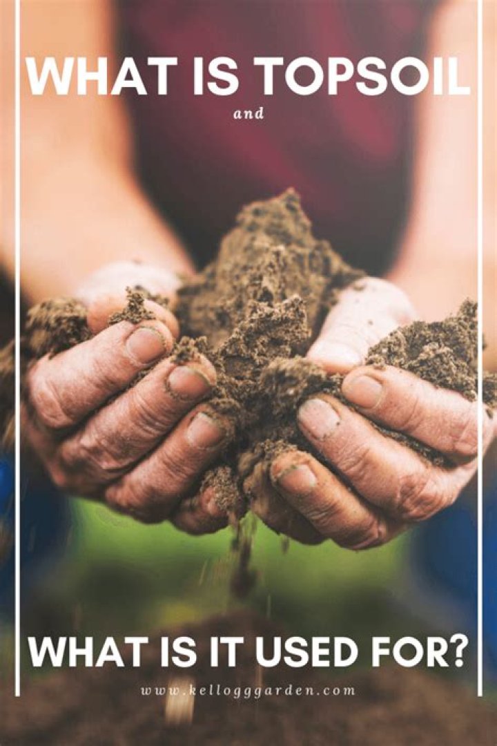 Is topsoil good for vegetable garden