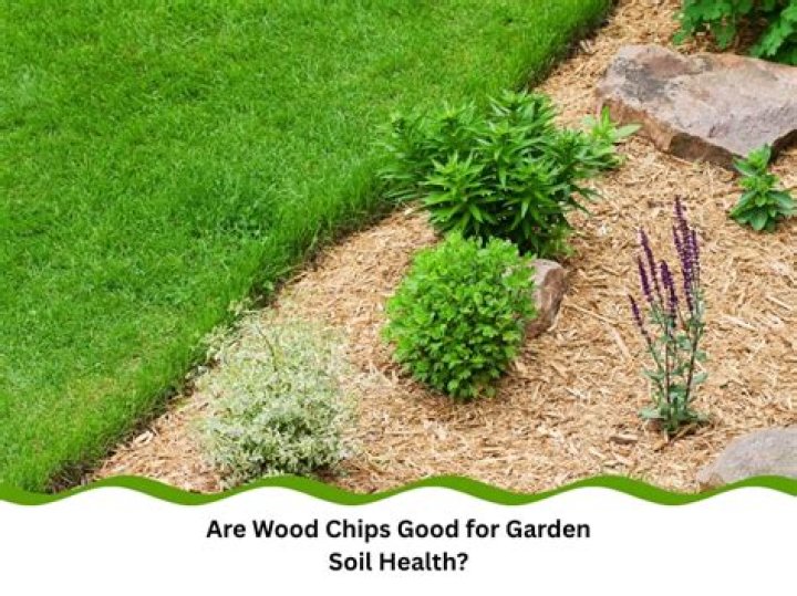 Is wood chips good for soil