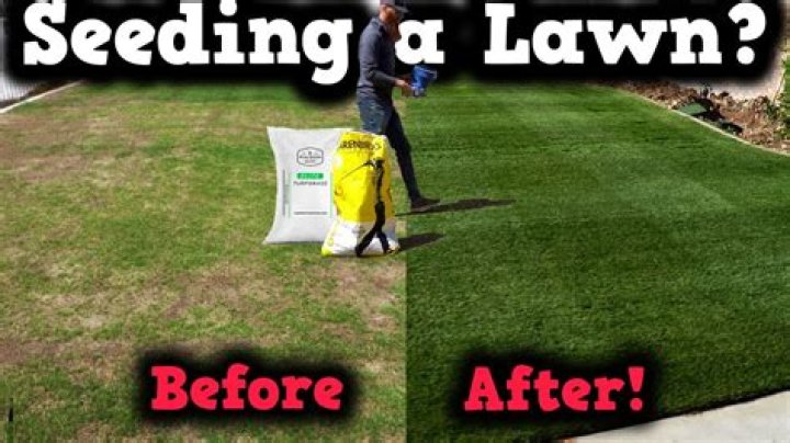 Should I till my yard before seeding