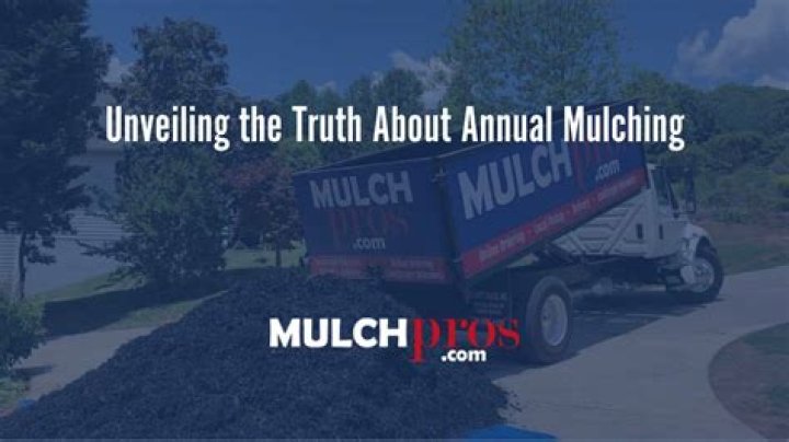 Should you mulch every year