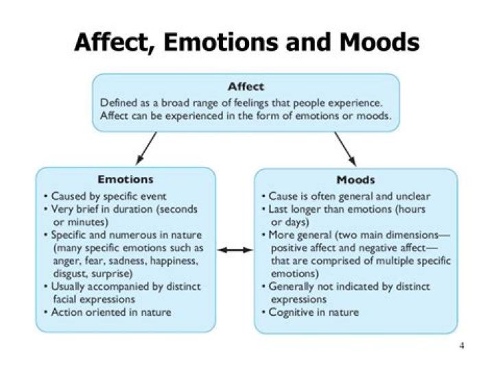 What are affect emotions and moods