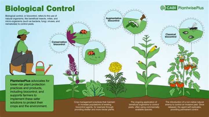 What are biological control mechanisms