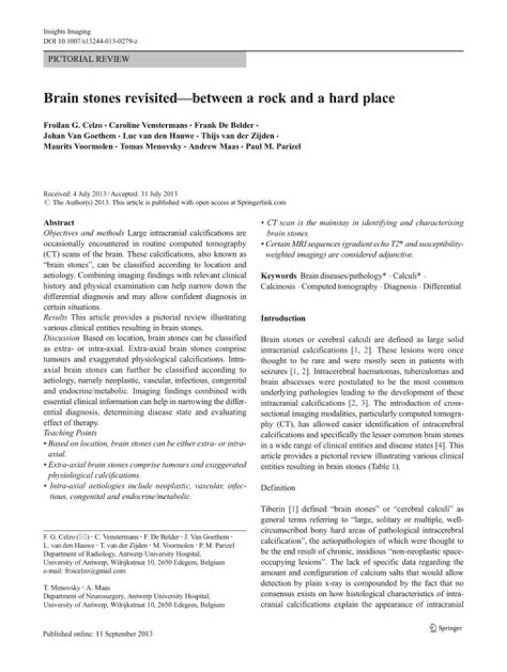 What are brain Stones