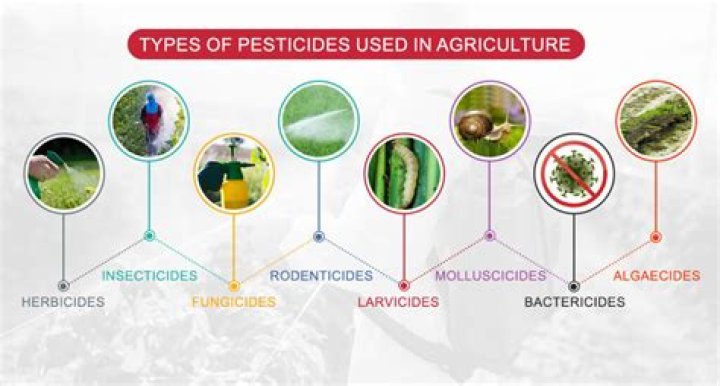 What are chemical pesticides