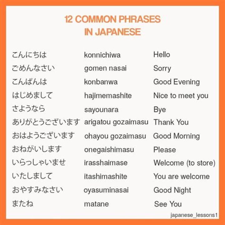 What are common Japanese phrases