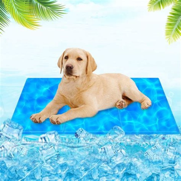 What are cooling mats for dogs