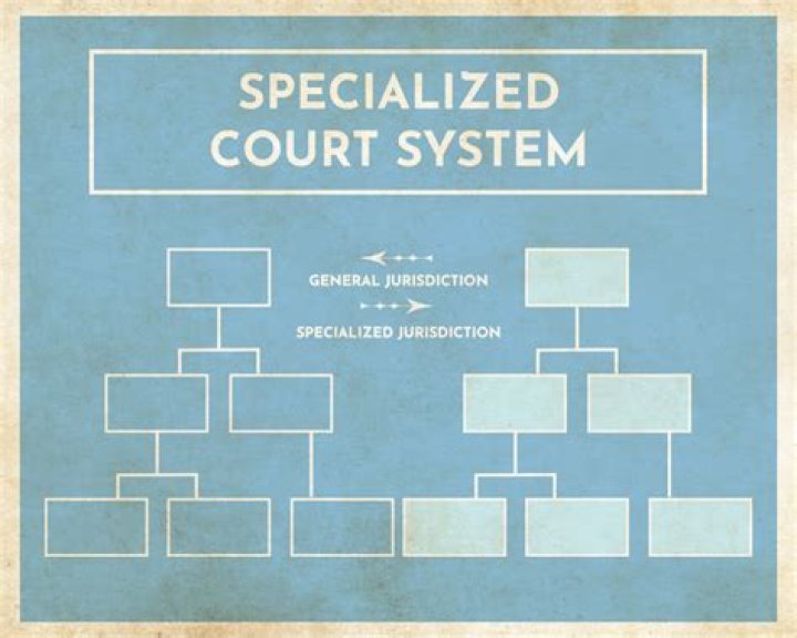 What are examples of specialty courts