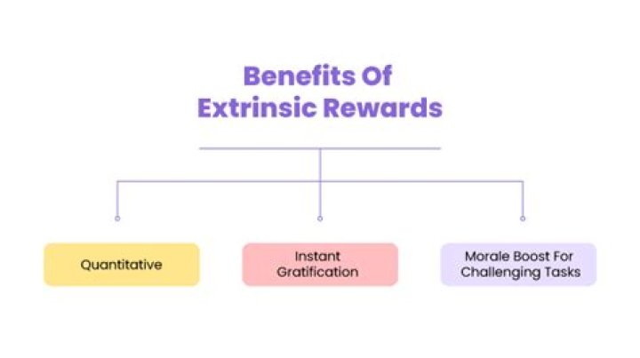 What are extrinsic rewards for employees