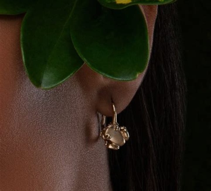What are French back earrings