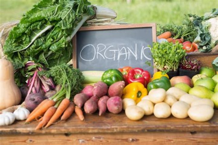 What are organic plants
