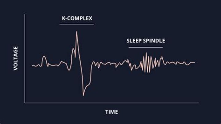 What are sleep spindles in psychology