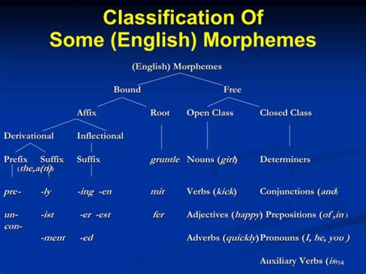 What are some examples of inflectional morphemes