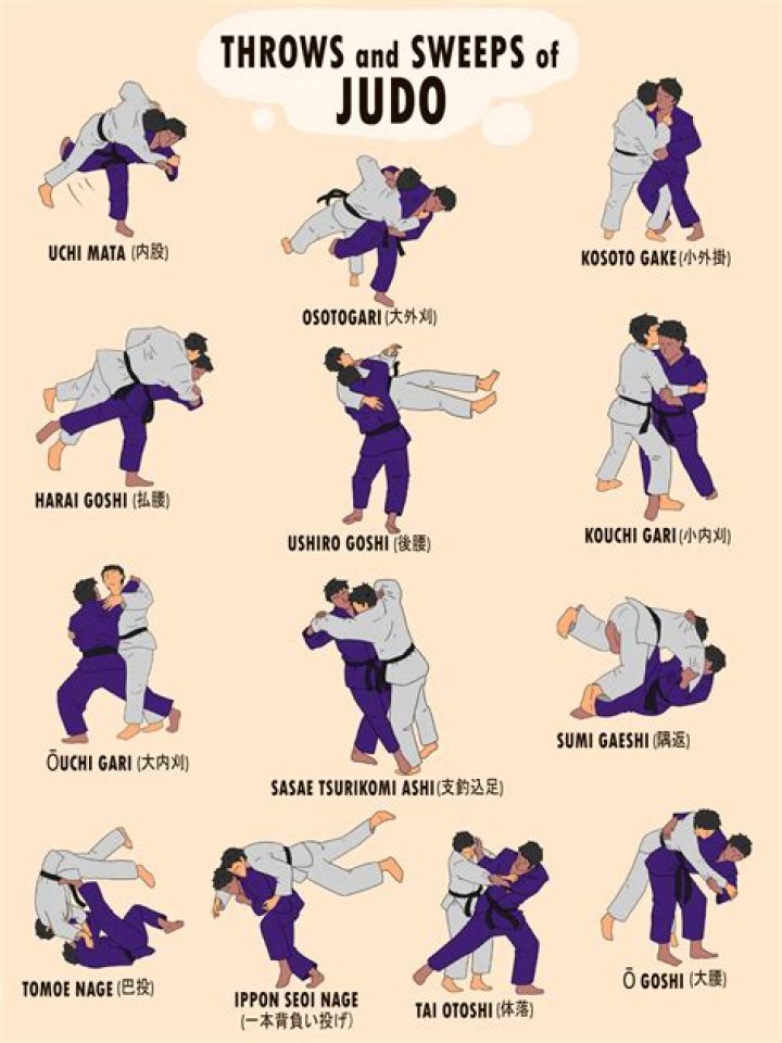 What are some judo moves