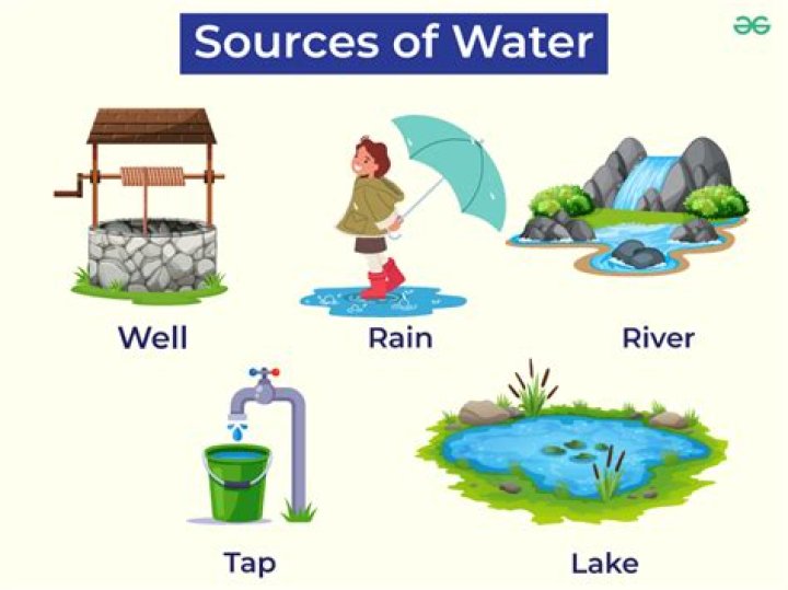 What are the 3 primary sources of water for your body