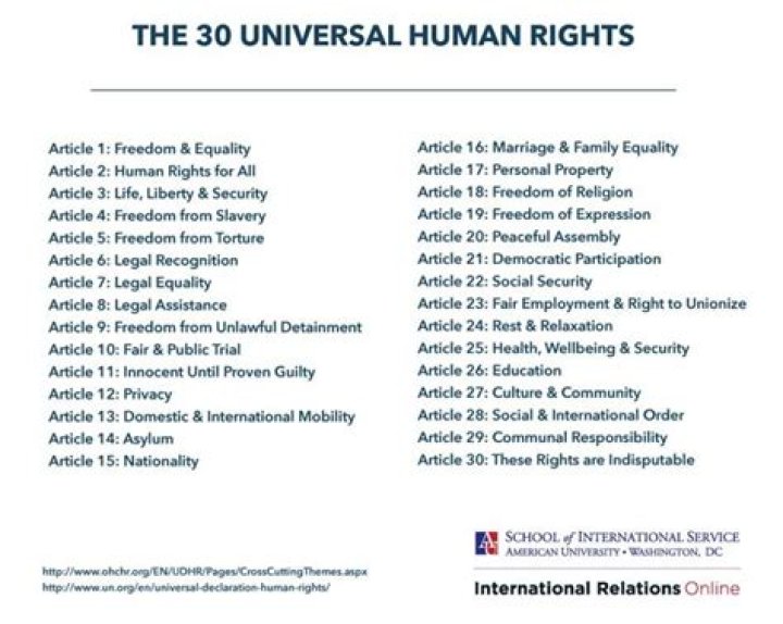 What are the 30 articles of human rights