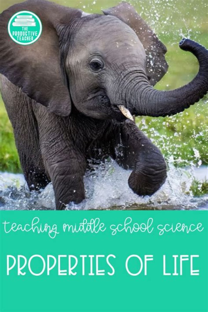 What are the 6 properties of life